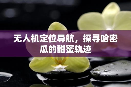 无人机定位导航，探寻哈密瓜的甜蜜轨迹
