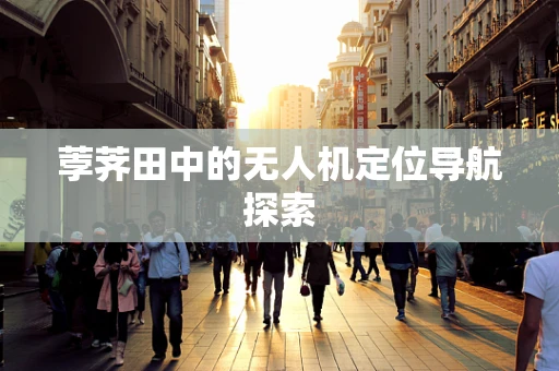荸荠田中的无人机定位导航探索