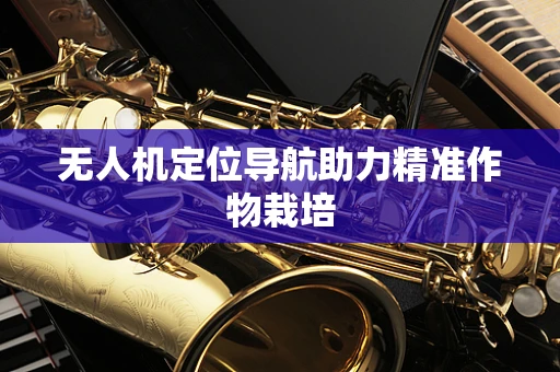 无人机定位导航助力精准作物栽培