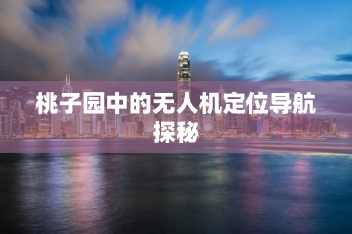 桃子园中的无人机定位导航探秘