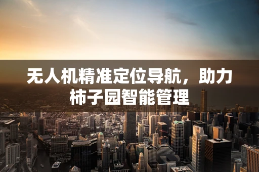 无人机精准定位导航，助力柿子园智能管理