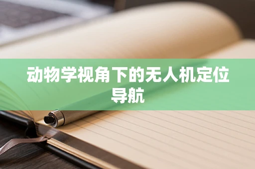 动物学视角下的无人机定位导航