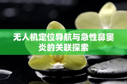 无人机定位导航与急性鼻窦炎的关联探索