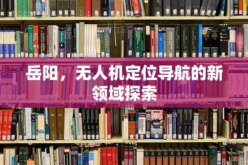 岳阳，无人机定位导航的新领域探索
