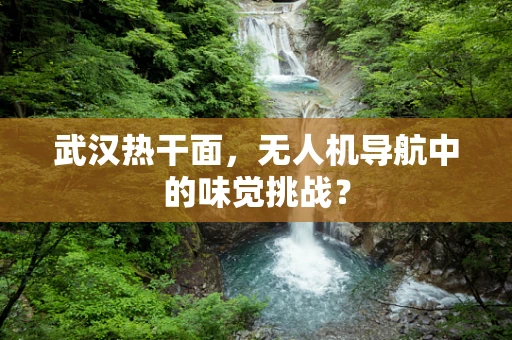 武汉热干面，无人机导航中的味觉挑战？