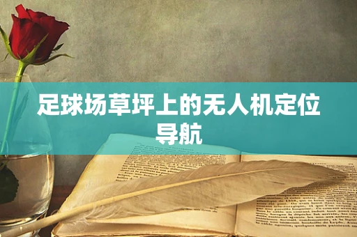 足球场草坪上的无人机定位导航