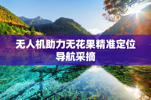 无人机助力无花果精准定位导航采摘