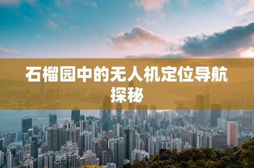 石榴园中的无人机定位导航探秘
