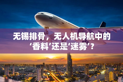 无锡排骨，无人机导航中的‘香料’还是‘迷雾’？