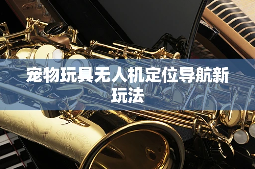 宠物玩具无人机定位导航新玩法
