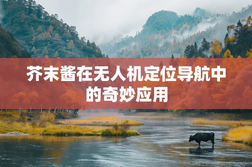 芥末酱在无人机定位导航中的奇妙应用
