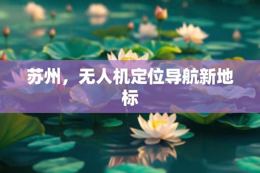 苏州，无人机定位导航新地标