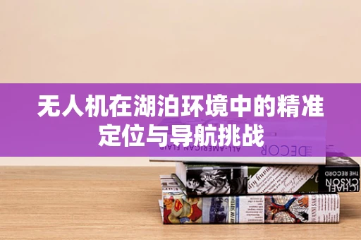 无人机在湖泊环境中的精准定位与导航挑战