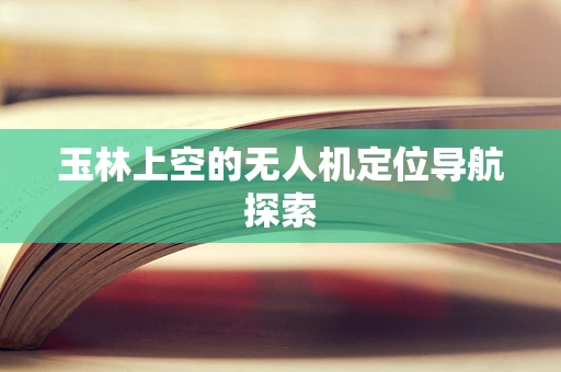 玉林上空的无人机定位导航探索