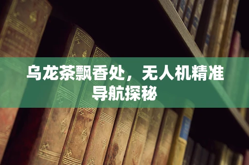 乌龙茶飘香处，无人机精准导航探秘
