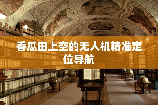 香瓜田上空的无人机精准定位导航