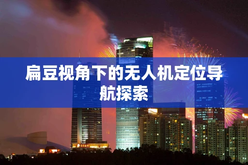 扁豆视角下的无人机定位导航探索