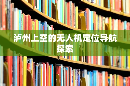 泸州上空的无人机定位导航探索