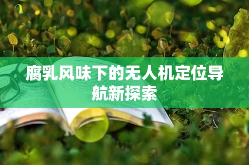 腐乳风味下的无人机定位导航新探索