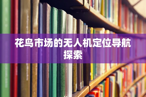 花鸟市场的无人机定位导航探索
