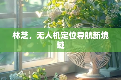 林芝，无人机定位导航新境域