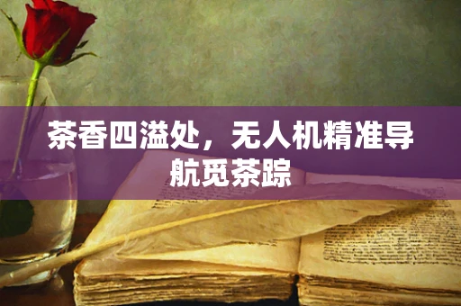 茶香四溢处，无人机精准导航觅茶踪