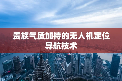 贵族气质加持的无人机定位导航技术