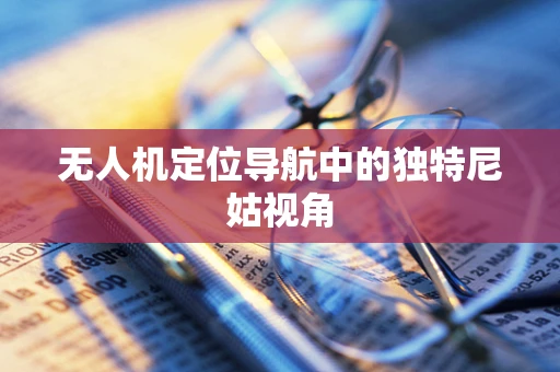 无人机定位导航中的独特尼姑视角