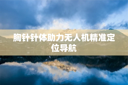 胸针针体助力无人机精准定位导航