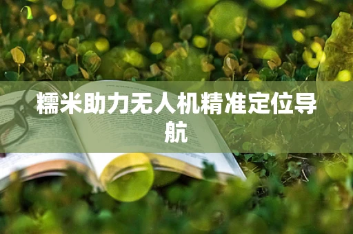 糯米助力无人机精准定位导航