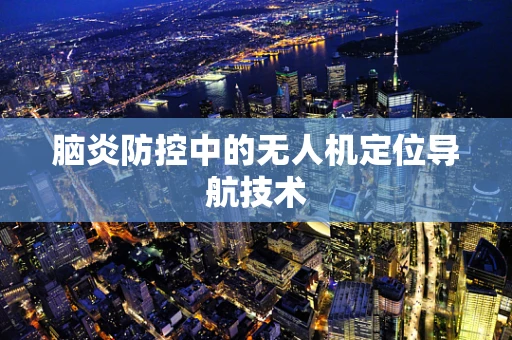 脑炎防控中的无人机定位导航技术
