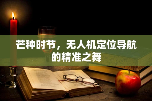 芒种时节，无人机定位导航的精准之舞