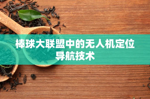 棒球大联盟中的无人机定位导航技术