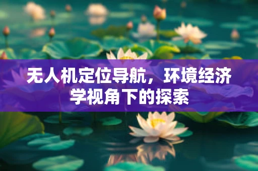 无人机定位导航，环境经济学视角下的探索
