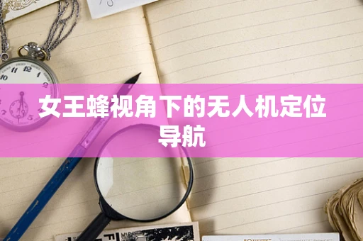 女王蜂视角下的无人机定位导航