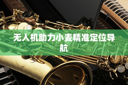 无人机助力小麦精准定位导航