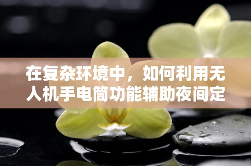 在复杂环境中，如何利用无人机手电筒功能辅助夜间定位导航？
