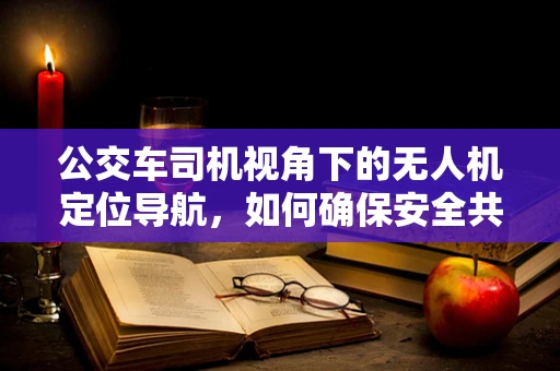 公交车司机视角下的无人机定位导航，如何确保安全共存？