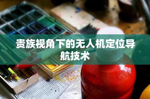 贵族视角下的无人机定位导航技术