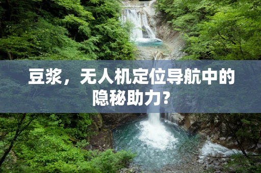 豆浆，无人机定位导航中的隐秘助力？