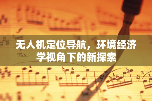 无人机定位导航，环境经济学视角下的新探索