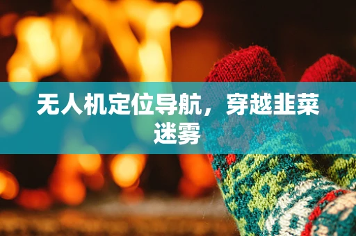 无人机定位导航，穿越韭菜迷雾