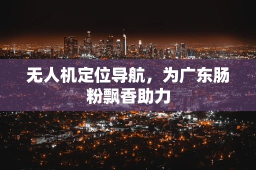 无人机定位导航，为广东肠粉飘香助力