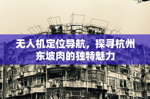 无人机定位导航，探寻杭州东坡肉的独特魅力