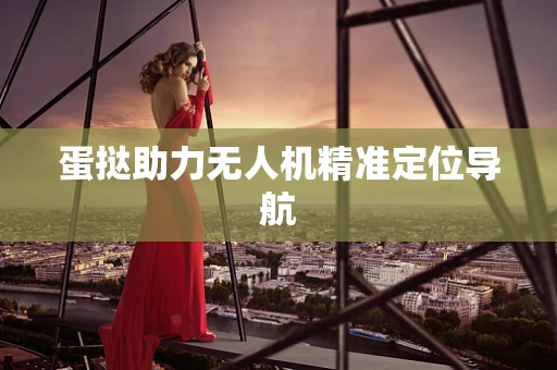 蛋挞助力无人机精准定位导航