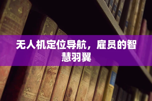 无人机定位导航，雇员的智慧羽翼