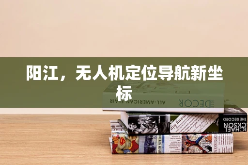 阳江，无人机定位导航新坐标
