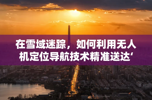 在雪域迷踪，如何利用无人机定位导航技术精准送达‘雪糕奇兵’？