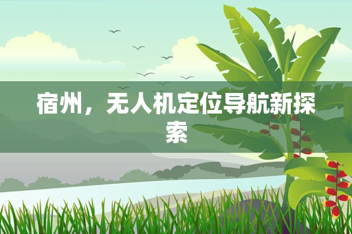 宿州，无人机定位导航新探索