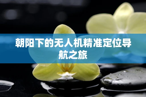 朝阳下的无人机精准定位导航之旅